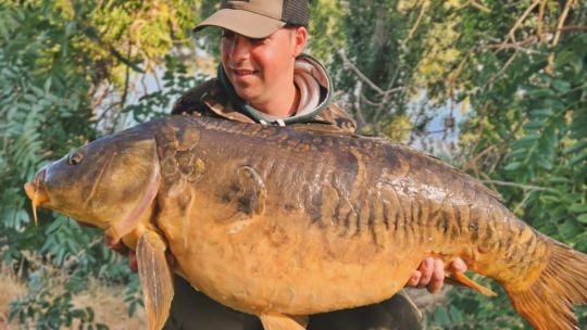 Tras pescar un esturión gigante, aficionado español logra dar con una carpa de casi 20 kilos