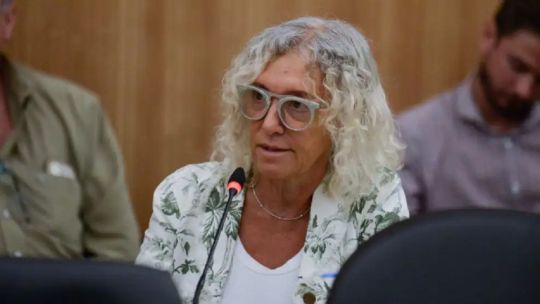 Mónica Frade, diputada de la CC-ARI: «Con Milei, la casta está de fiesta y se encubre la corrupción»