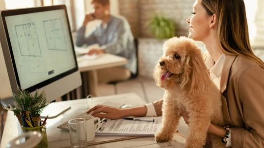 Una empresa argentina otorga licencia laboral a los empleados que adopten una mascota