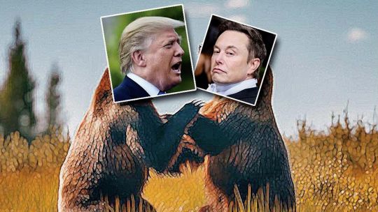Consecuencias criollas indeseadas de la pelea Trump-Musk (Clarín sonríe)
