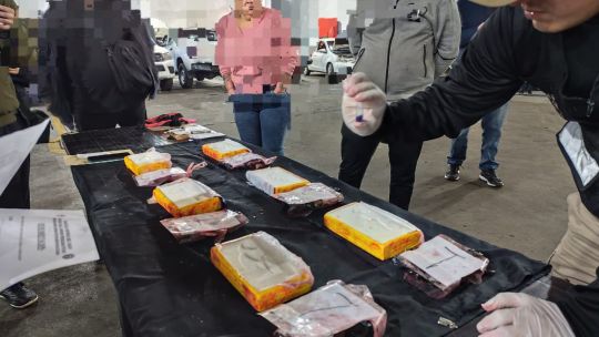 Desmantelan en Chaco una banda narco transnacional que usaba mujeres y bebés como mulas