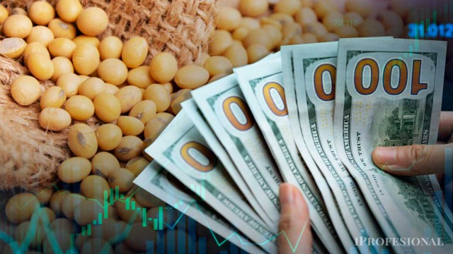 Este es el nuevo piso y techo del dólar que prevé la City tras anuncio de baja de retenciones