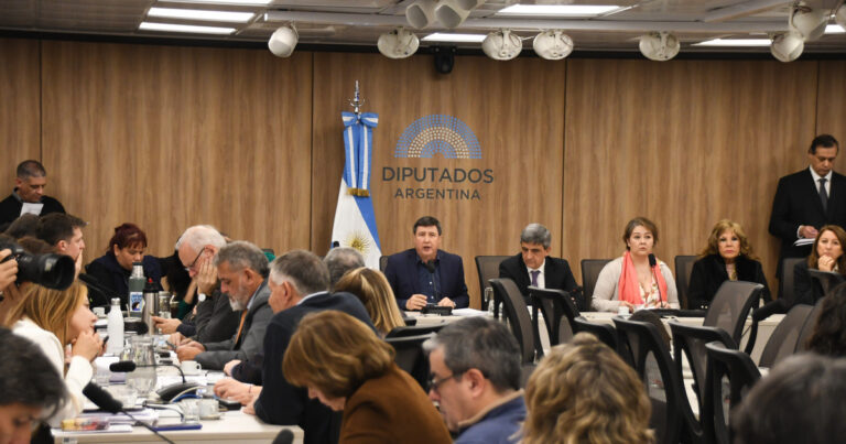 Javier Milei y sus medidas, EN VIVO: la oposición avanza en el Congreso con los pedidos de informes por los escándalos de las supuestas coimas y $LIBRA