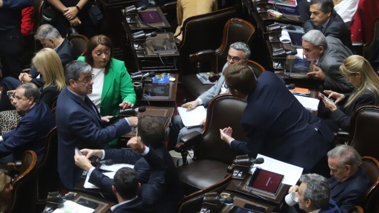 Los vetos de Javier Milei volvieron a reunir a la oposición, que sesionará la semana que viene en Diputados