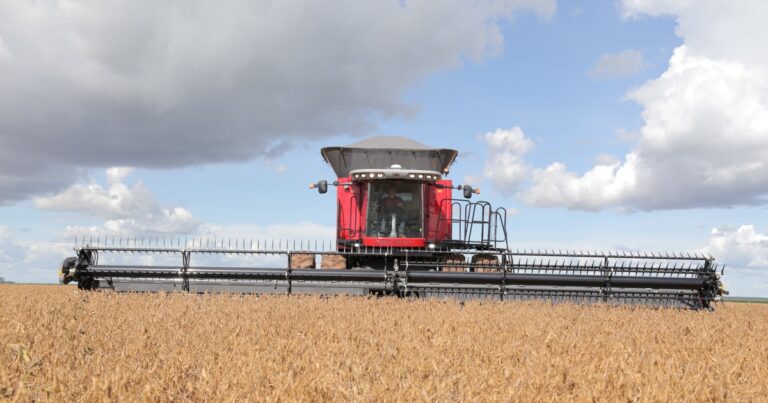 Sorpresiva medida del Gobierno: la baja de las retenciones a cero a los granos rige hasta el 31 de octubre o hasta alcanzar US$ 7.000 millones en exportaciones