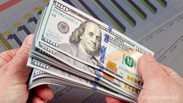 Hacé trabajar tus dólares: cuáles son los fondos que ofrecen una rentabilidad de hasta 9% anual