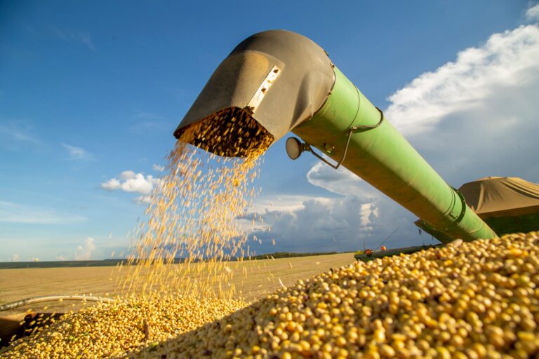 Recta final: momento de sintonía fina para tomar decisiones comerciales