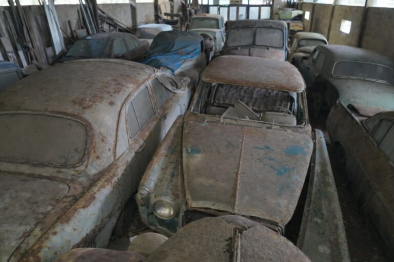 Se metieron en un galpón abandonado y lo que encontraron los descolocó